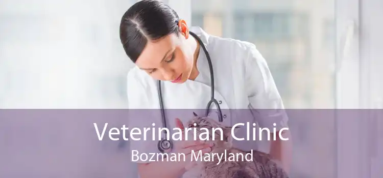 Veterinarian Clinic Bozman Maryland