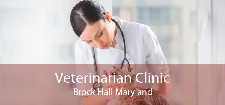 Veterinarian Clinic Brock Hall Maryland