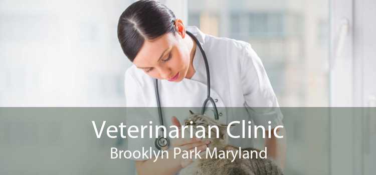 Veterinarian Clinic Brooklyn Park Maryland