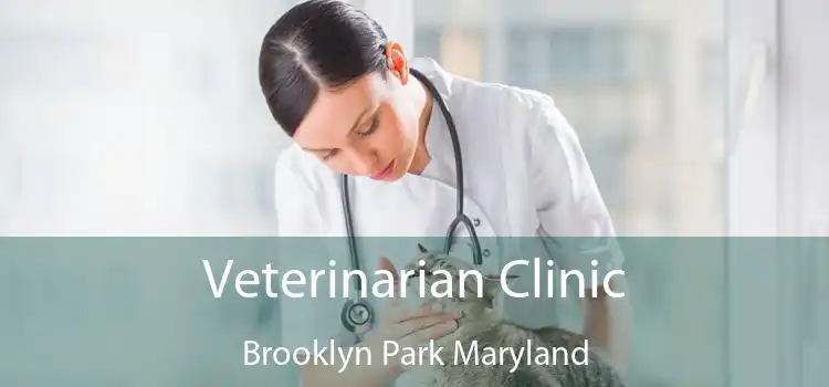 Veterinarian Clinic Brooklyn Park Maryland