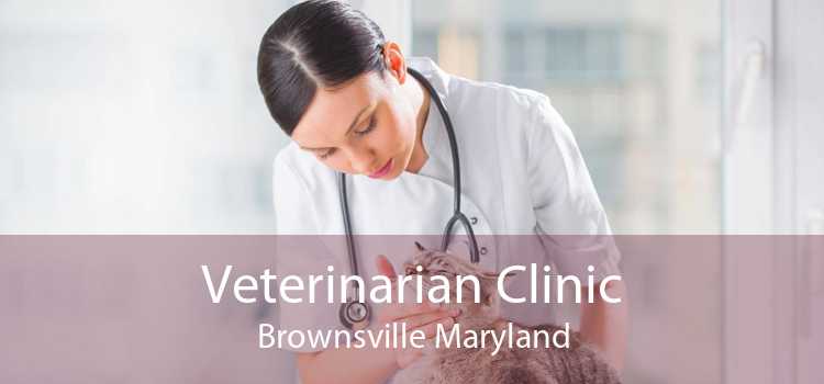 Veterinarian Clinic Brownsville Maryland