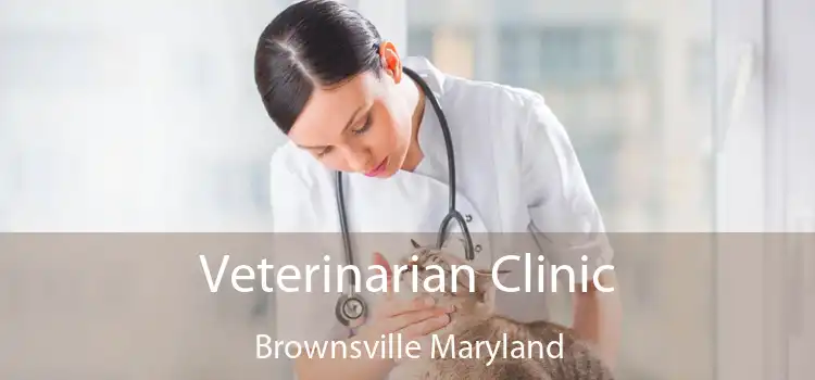 Veterinarian Clinic Brownsville Maryland