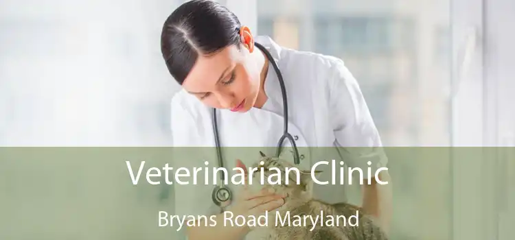 Veterinarian Clinic Bryans Road Maryland