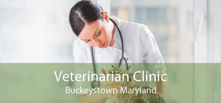Veterinarian Clinic Buckeystown Maryland