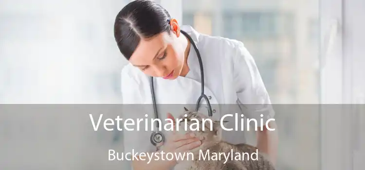 Veterinarian Clinic Buckeystown Maryland