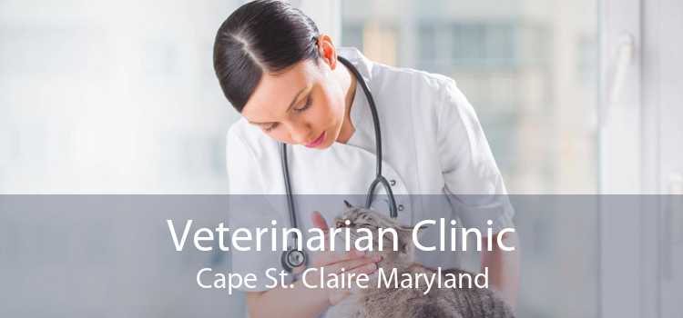 Veterinarian Clinic Cape St. Claire Maryland
