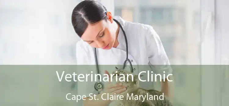 Veterinarian Clinic Cape St. Claire Maryland