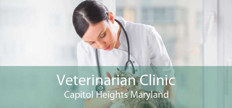 Veterinarian Clinic Capitol Heights Maryland