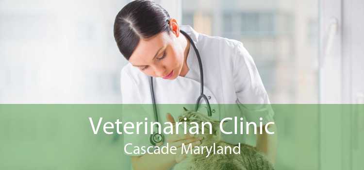 Veterinarian Clinic Cascade Maryland