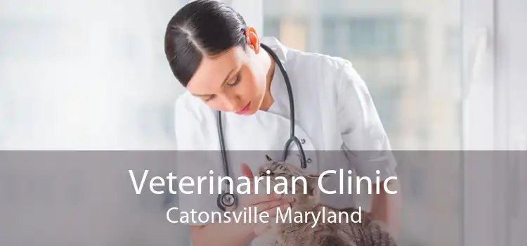 Veterinarian Clinic Catonsville Maryland