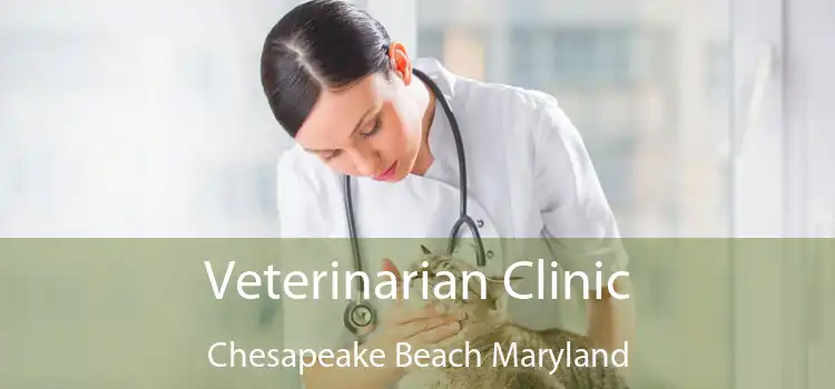 Veterinarian Clinic Chesapeake Beach Maryland