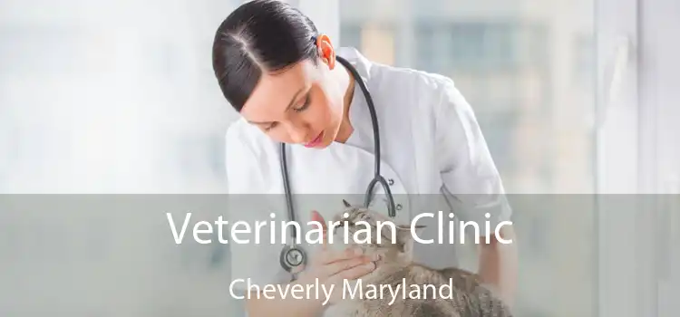 Veterinarian Clinic Cheverly Maryland
