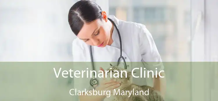 Veterinarian Clinic Clarksburg Maryland