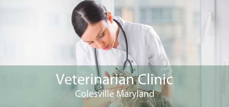 Veterinarian Clinic Colesville Maryland