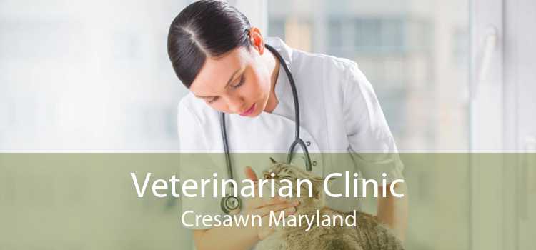 Veterinarian Clinic Cresawn Maryland