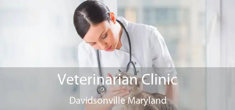Veterinarian Clinic Davidsonville Maryland