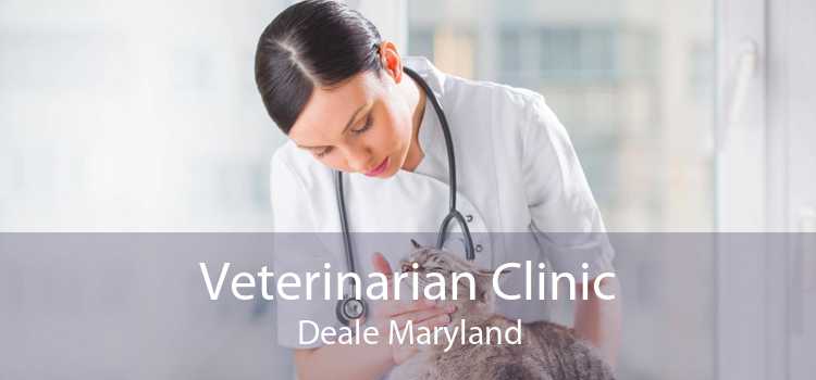 Veterinarian Clinic Deale Maryland