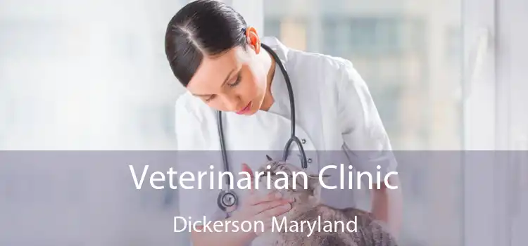 Veterinarian Clinic Dickerson Maryland