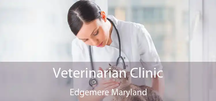 Veterinarian Clinic Edgemere Maryland