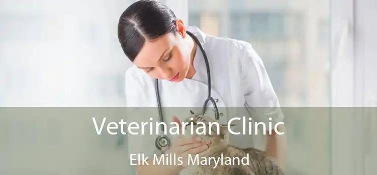Veterinarian Clinic Elk Mills Maryland