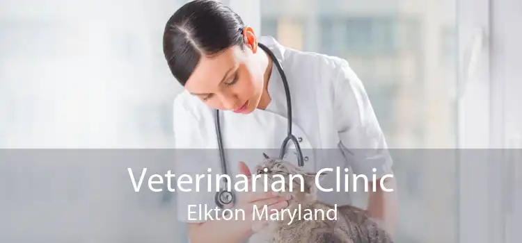 Veterinarian Clinic Elkton Maryland
