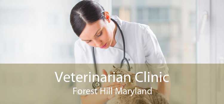 Veterinarian Clinic Forest Hill Maryland