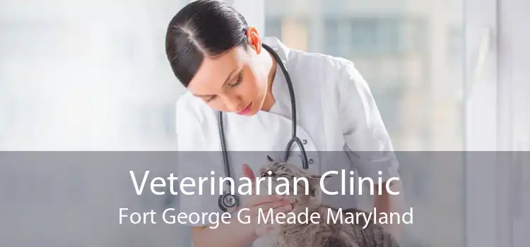 Veterinarian Clinic Fort George G Meade Maryland