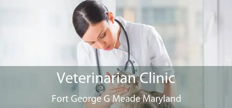 Veterinarian Clinic Fort George G Meade Maryland