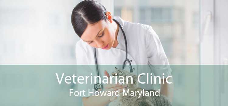 Veterinarian Clinic Fort Howard Maryland