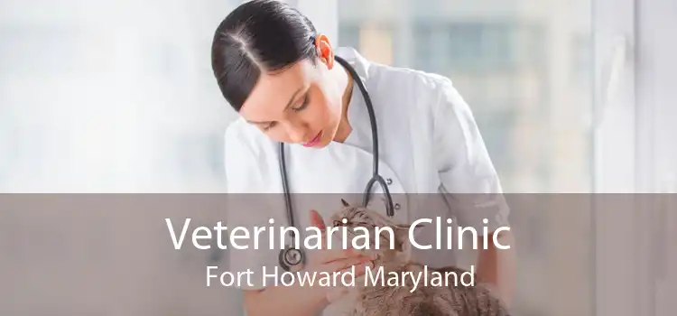 Veterinarian Clinic Fort Howard Maryland