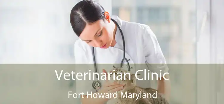 Veterinarian Clinic Fort Howard Maryland