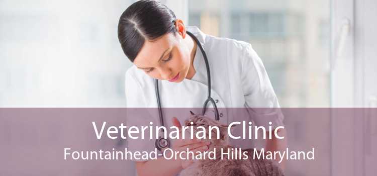 Veterinarian Clinic Fountainhead-Orchard Hills Maryland