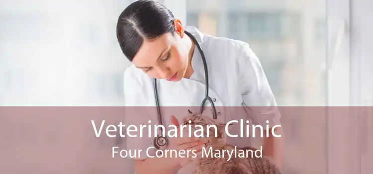 Veterinarian Clinic Four Corners Maryland