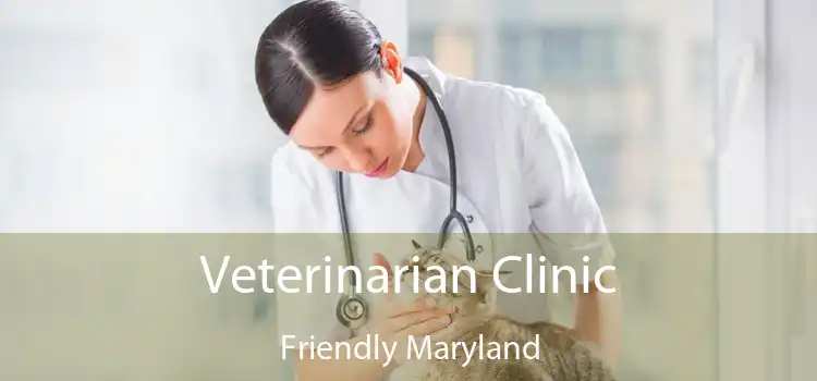 Veterinarian Clinic Friendly Maryland