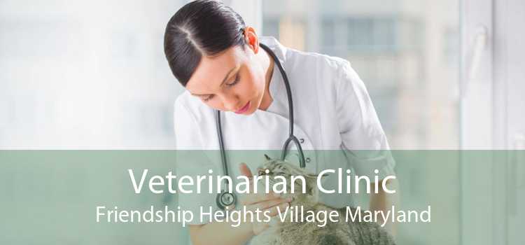 Veterinarian Clinic Friendship Heights Village Maryland