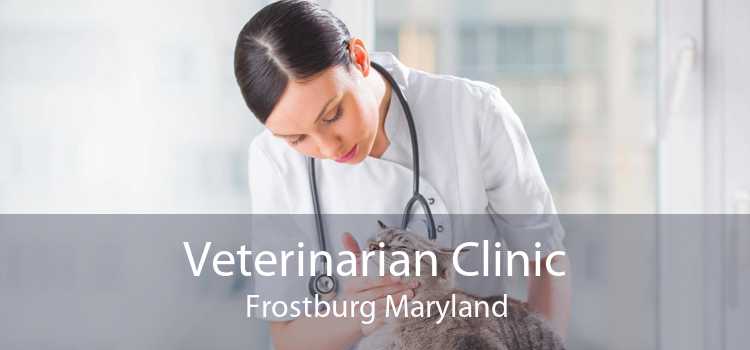Veterinarian Clinic Frostburg Maryland