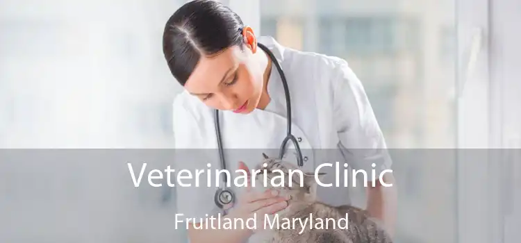 Veterinarian Clinic Fruitland Maryland
