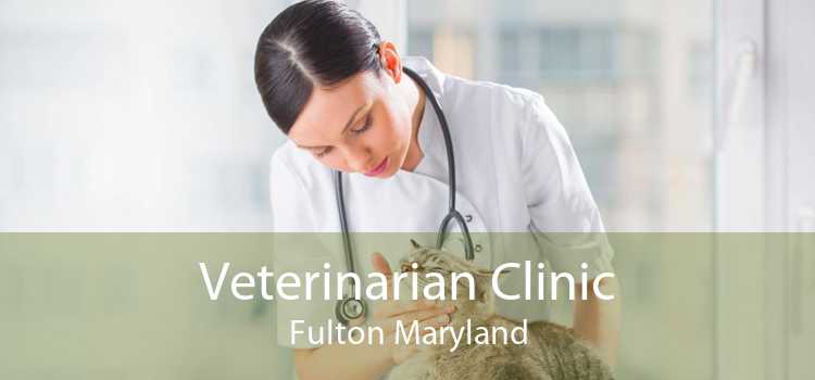 Veterinarian Clinic Fulton Maryland