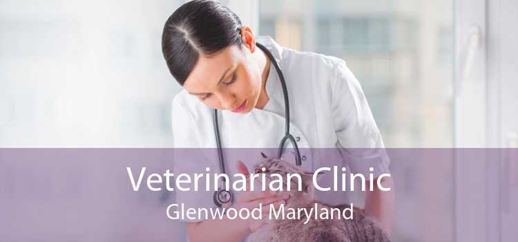 Veterinarian Clinic Glenwood Maryland