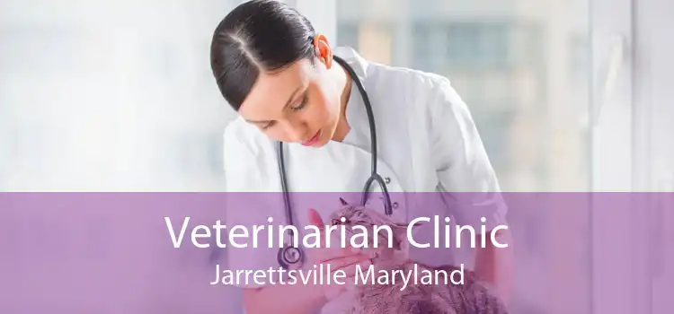 Veterinarian Clinic Jarrettsville Maryland