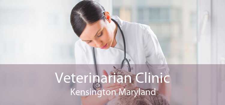 Veterinarian Clinic Kensington Maryland