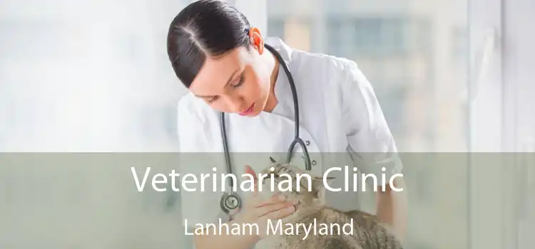 Veterinarian Clinic Lanham Maryland