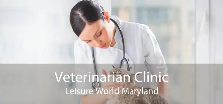 Veterinarian Clinic Leisure World Maryland