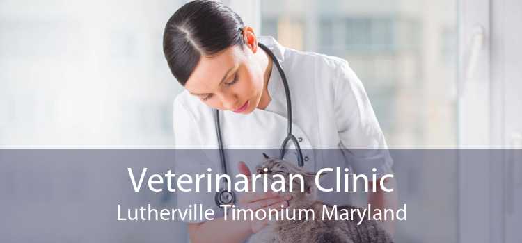 Veterinarian Clinic Lutherville Timonium Maryland