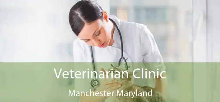 Veterinarian Clinic Manchester Maryland