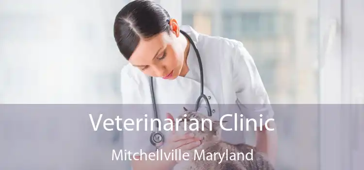 Veterinarian Clinic Mitchellville Maryland