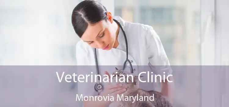 Veterinarian Clinic Monrovia Maryland