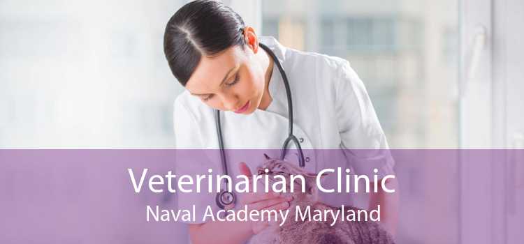 Veterinarian Clinic Naval Academy Maryland