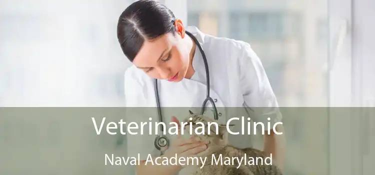 Veterinarian Clinic Naval Academy Maryland