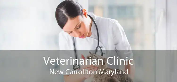 Veterinarian Clinic New Carrollton Maryland